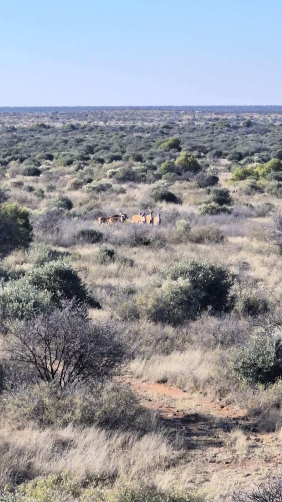 Commercial Property for Sale in Barkly West Rural Northern Cape
